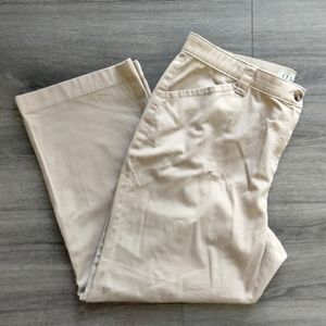 L.L. Bean Classic Fit Straight Tan Beige Cotton Pants Women's Size 20 PET Petite